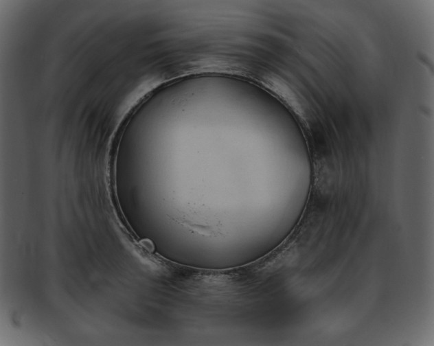 X0000093381043200710191131