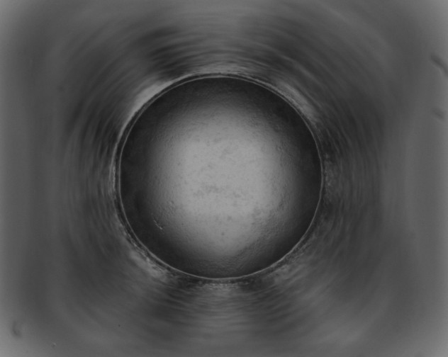 X0000093381044200710191131