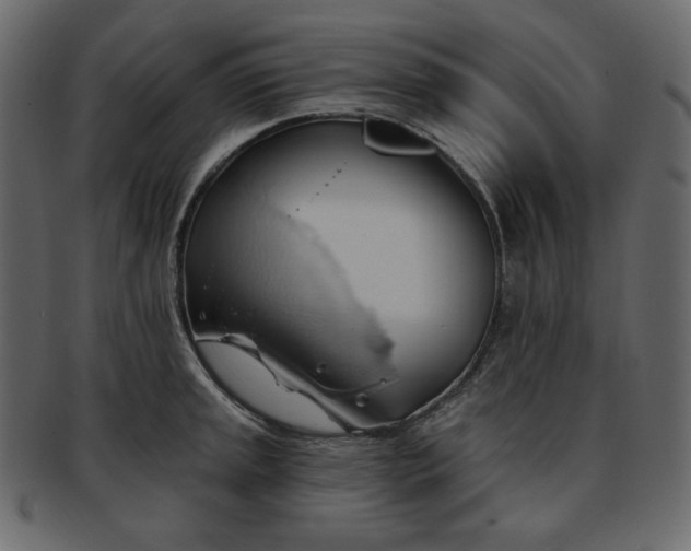 X0000093381045200710191131