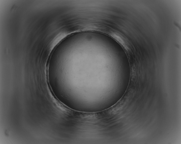 X0000093381047200710191131