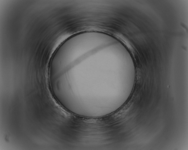 X0000093381048200710191131