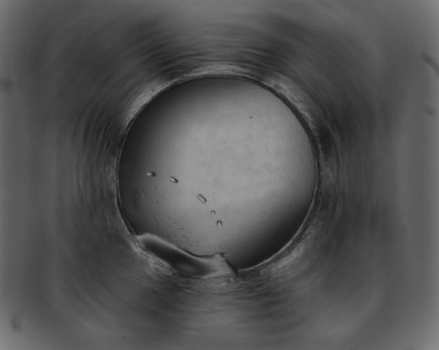 X0000093381049200710191131