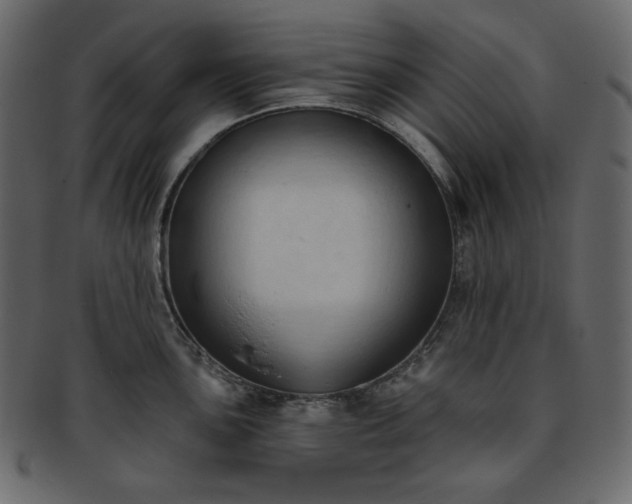 X0000093381051200710191131