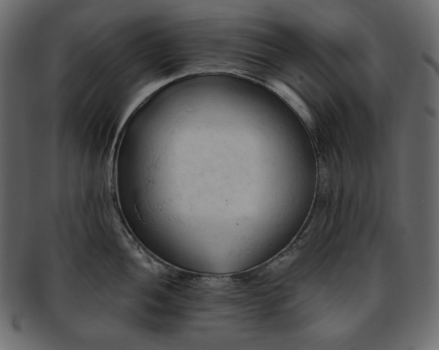 X0000093381052200710191131