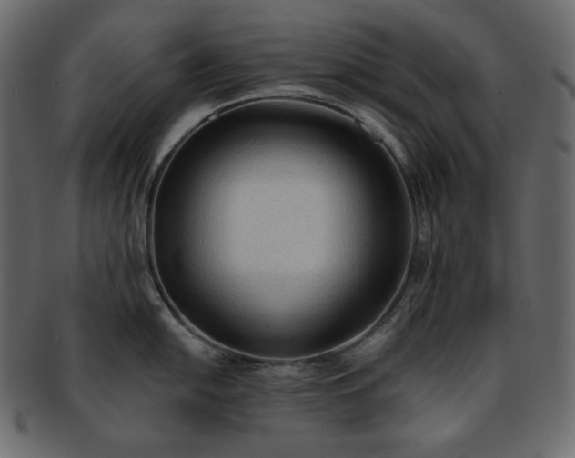 X0000093381054200710191131