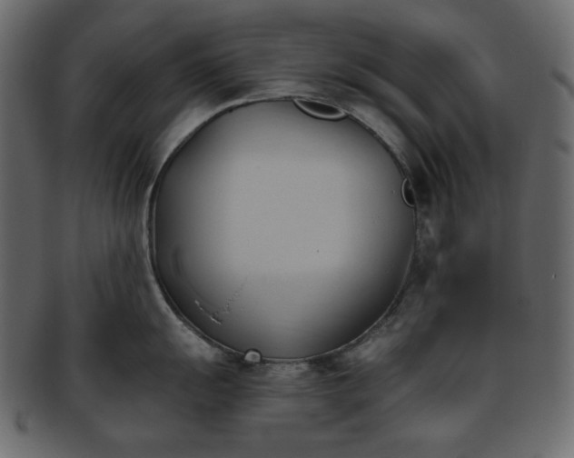 X0000093381055200710191131