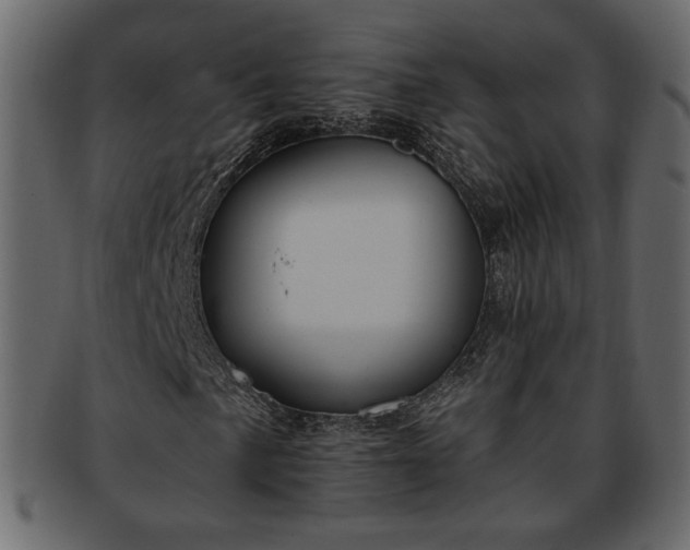 X0000093381057200710191130