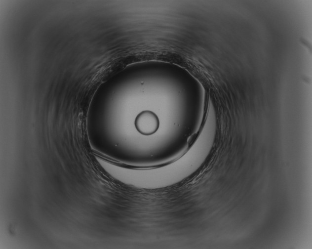 X0000093381059200710191130