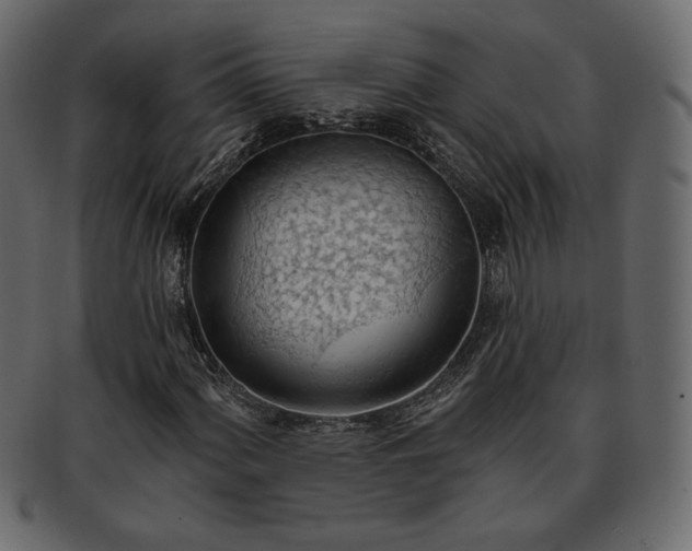 X0000093381060200710191130