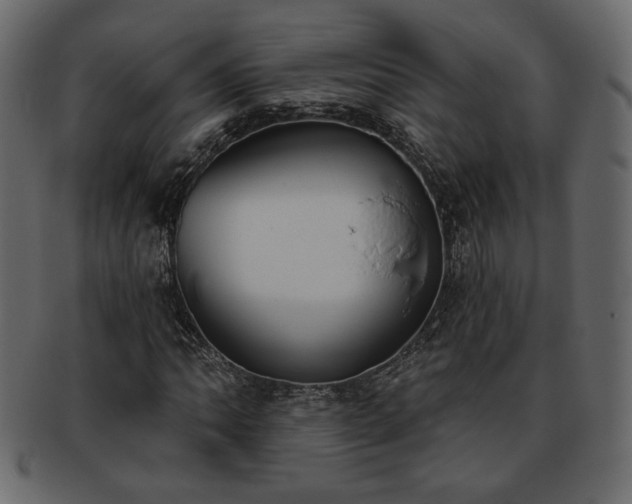 X0000093381062200710191130