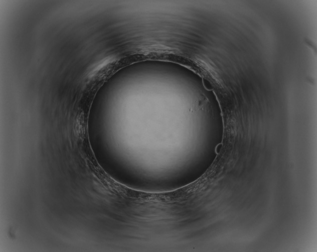 X0000093381063200710191130