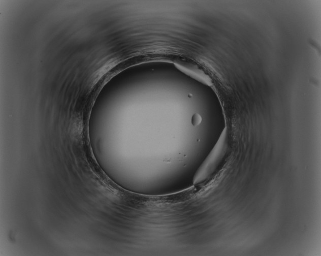 X0000093381065200710191130