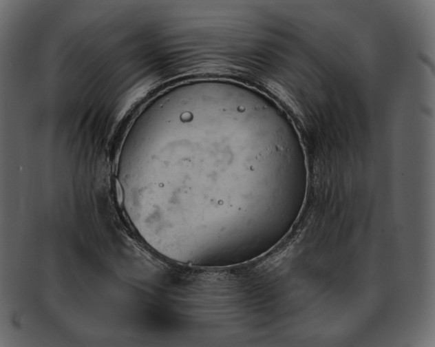 X0000093381067200710191130