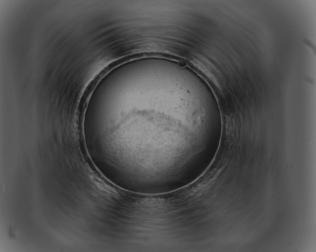 X0000093381068200710191130