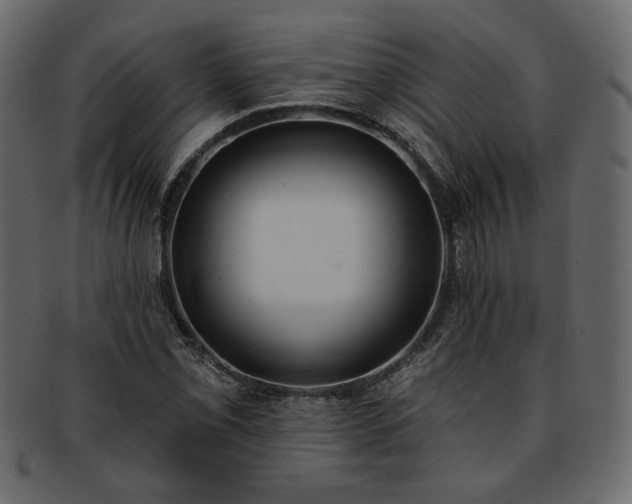 X0000093381069200710191130