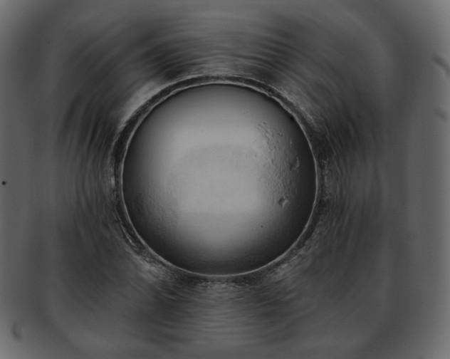 X0000093381070200710191130