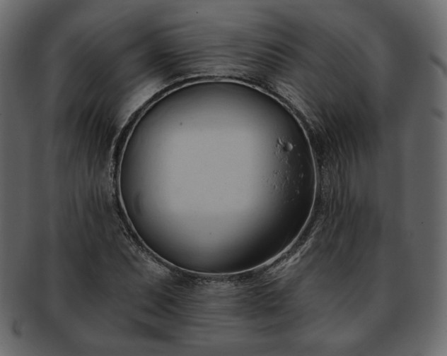 X0000093381071200710191130