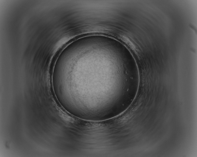 X0000093381072200710191130