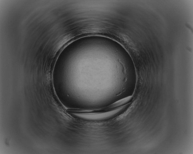 X0000093381073200710191130