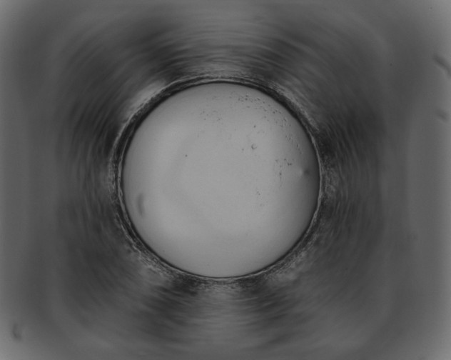 X0000093381074200710191130