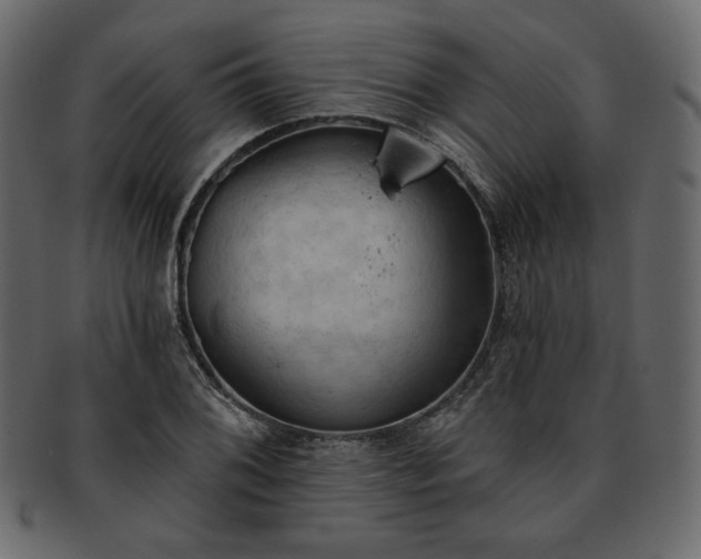 X0000093381076200710191130