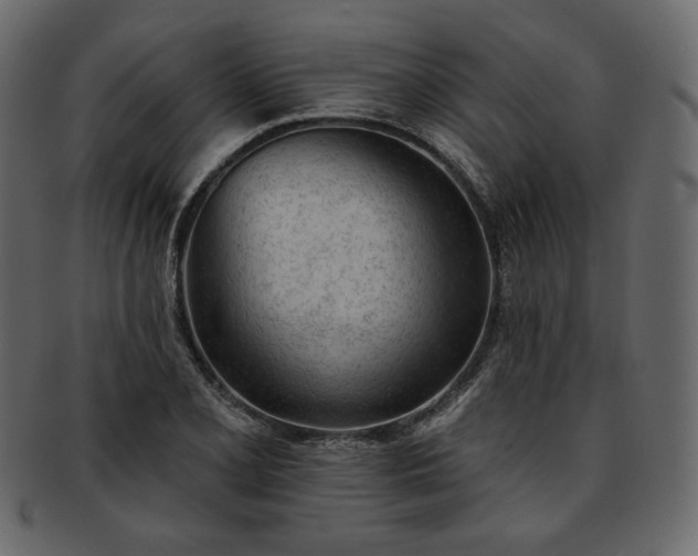 X0000093381077200710191130