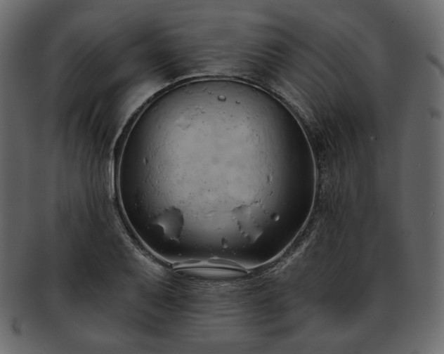 X0000093381079200710191130