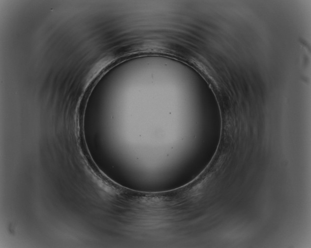 X0000093381082200710191130