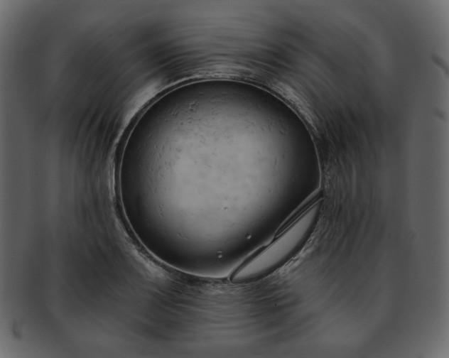 X0000093381083200710191130