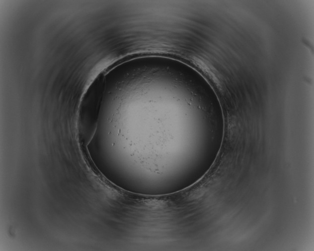 X0000093381085200710191130