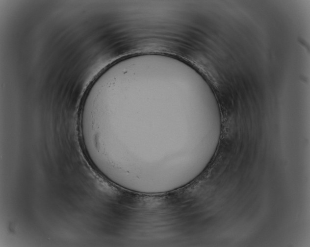 X0000093381086200710191130