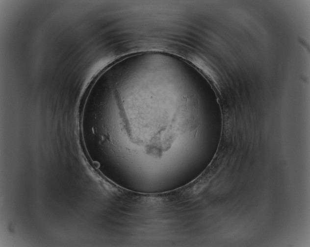X0000093381088200710191130