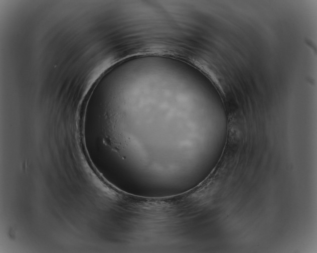 X0000093381091200710191130