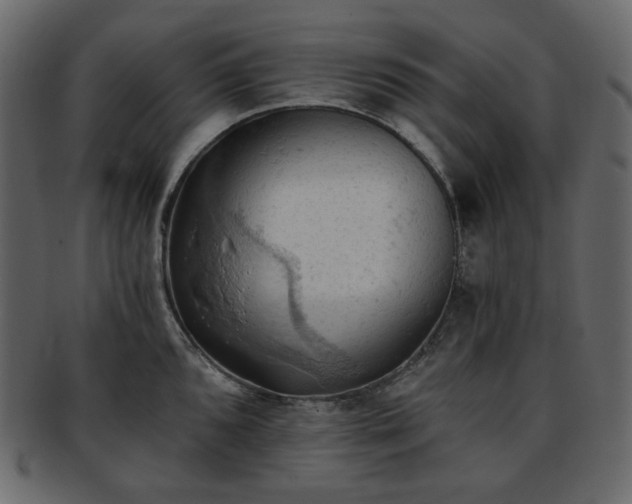 X0000093381096200710191130