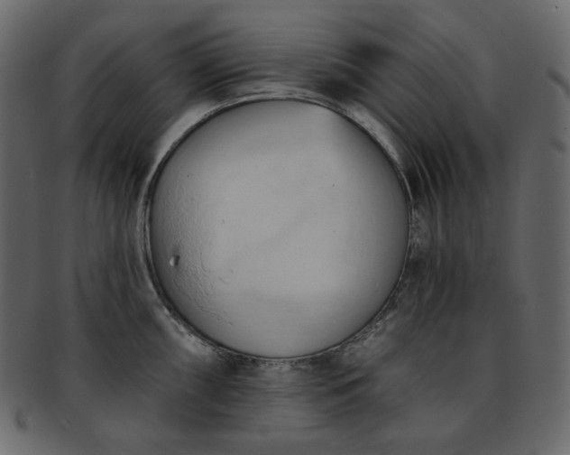 X0000093381098200710191130