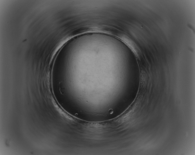 X0000093381100200710191130