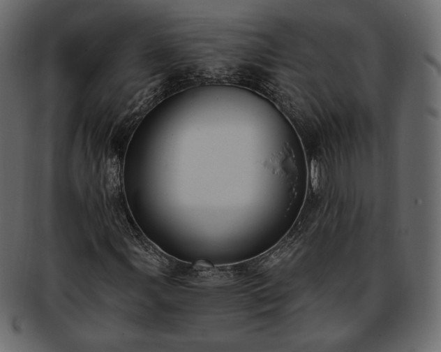 X0000093381107200710191129