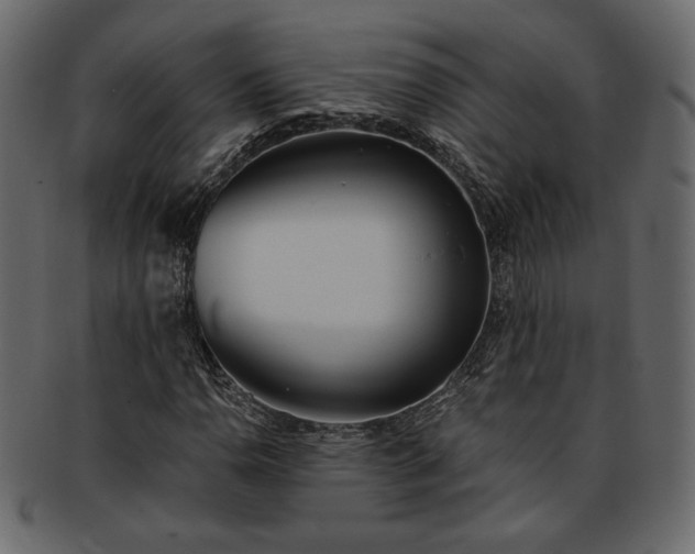 X0000093381110200710191129