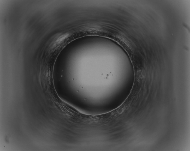 X0000093381111200710191129