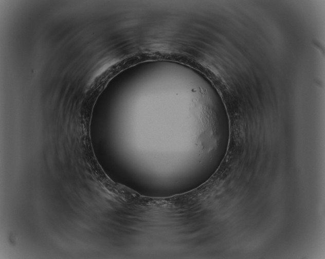 X0000093381112200710191129