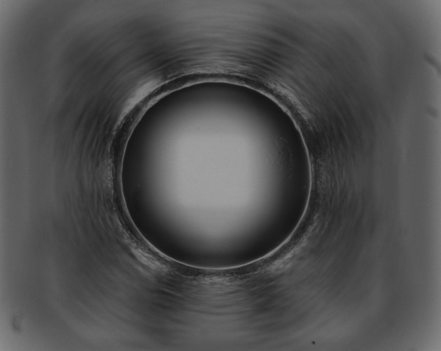 X0000093381114200710191129