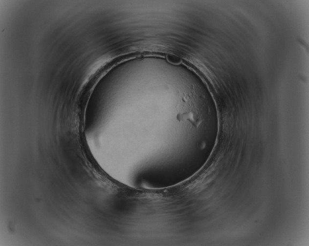 X0000093381115200710191129