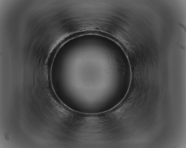 X0000093381118200710191130