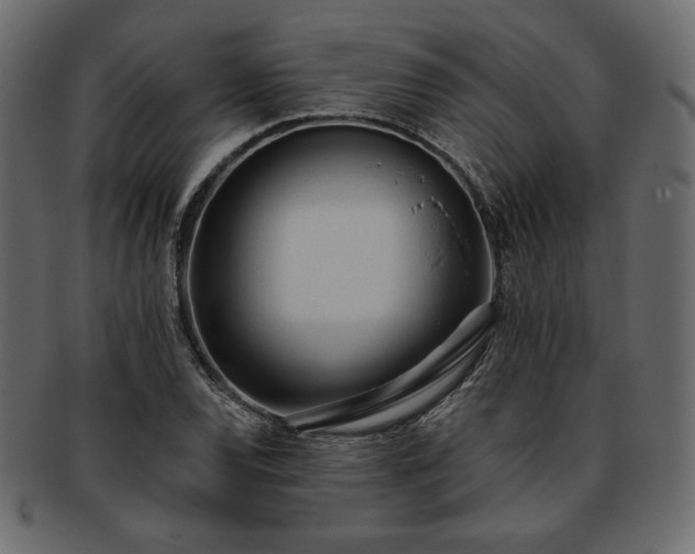 X0000093381120200710191130