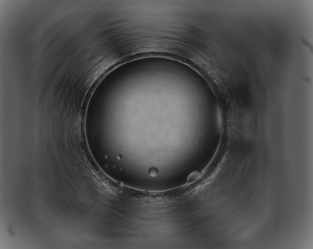 X0000093381121200710191130