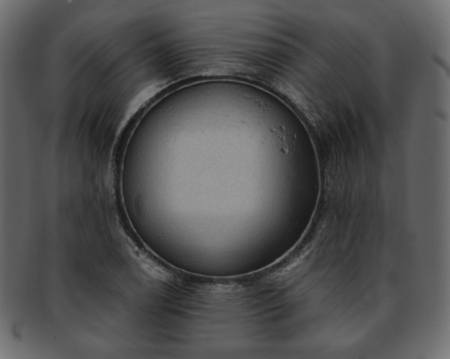 X0000093381122200710191130