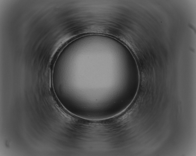 X0000093381123200710191130