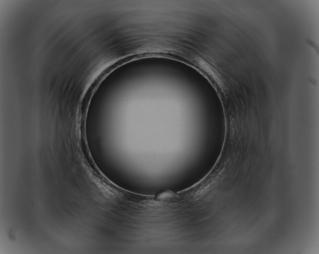 X0000093381124200710191130