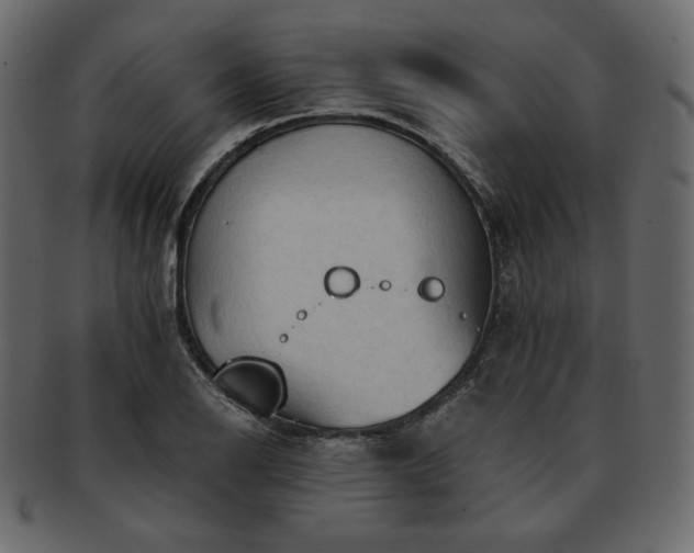 X0000093381126200710191130