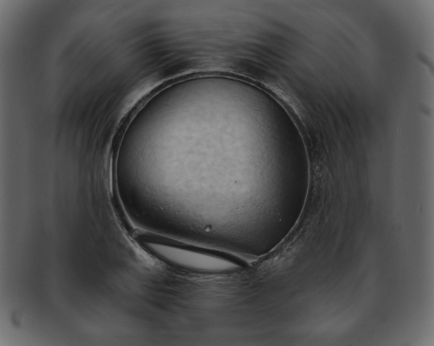 X0000093381127200710191130